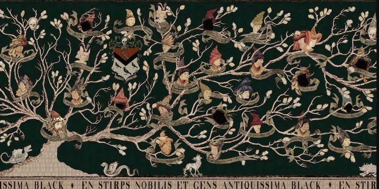 Sirius Black&rsquo;s Family Tree as seen in Harry Potter and the Order of the Phoenix.